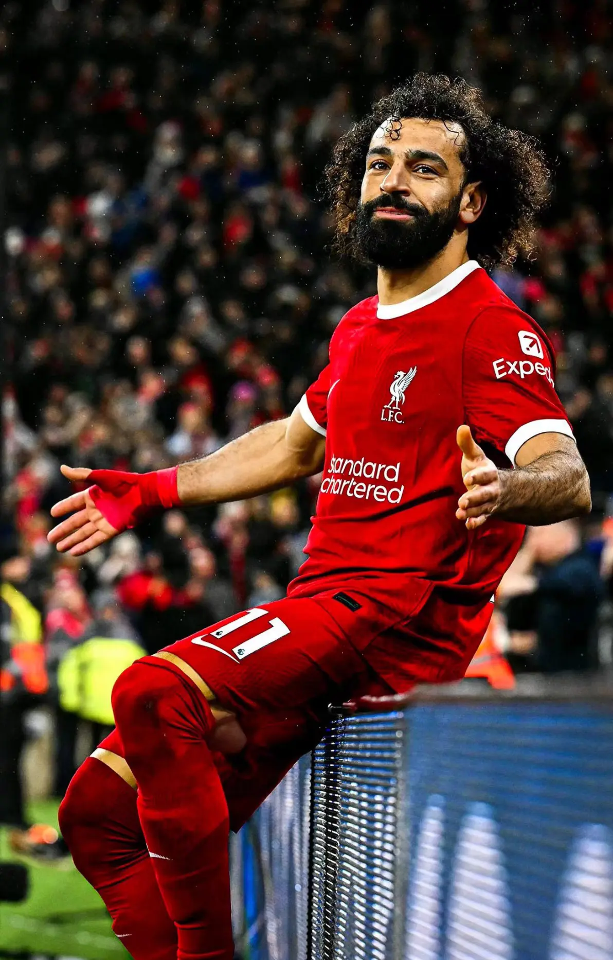 关于莱比锡红牛血洗加拿大，萨拉赫高光表现的信息