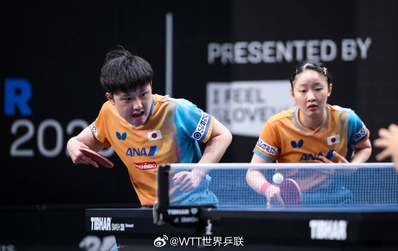 PG中国登录入口-关于德国乒乓球队碾压日本乒乓球队，张本智和高光表现的信息