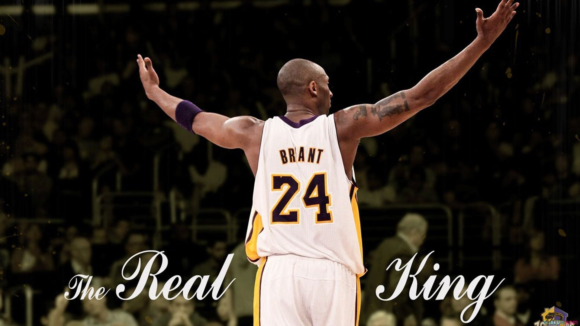 黄潜战术板上的喀麦隆，当穆勒的冠军智慧照亮非典型对决