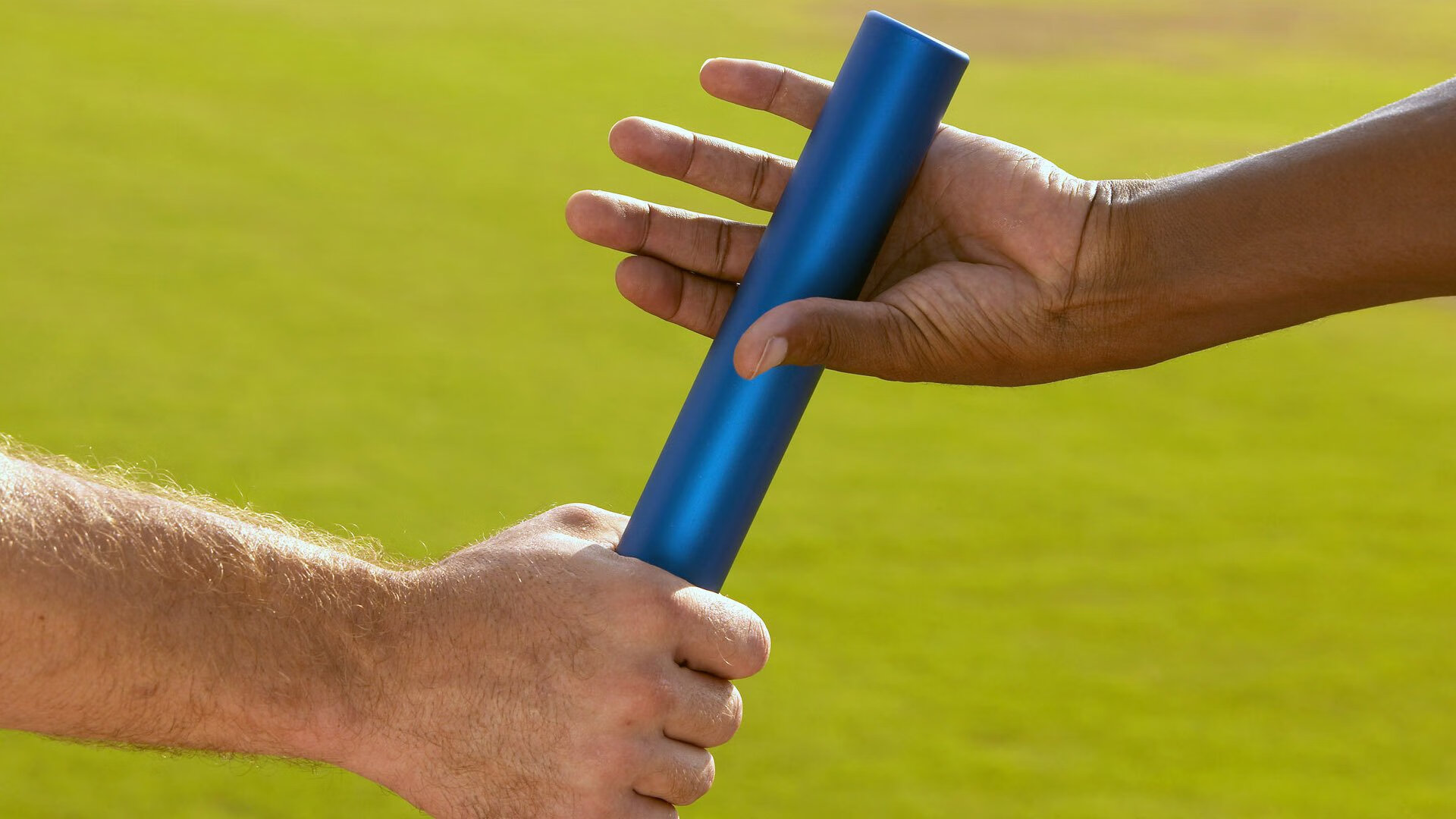 波斯铁骑遭遇郁金香风暴，布鲁诺一锤定音改写历史